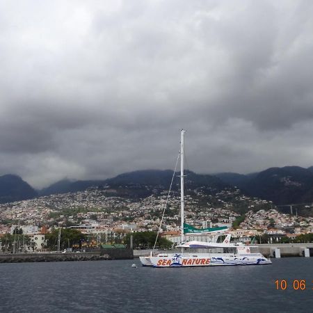 Stay In Madeira Funchal  Exteriér fotografie